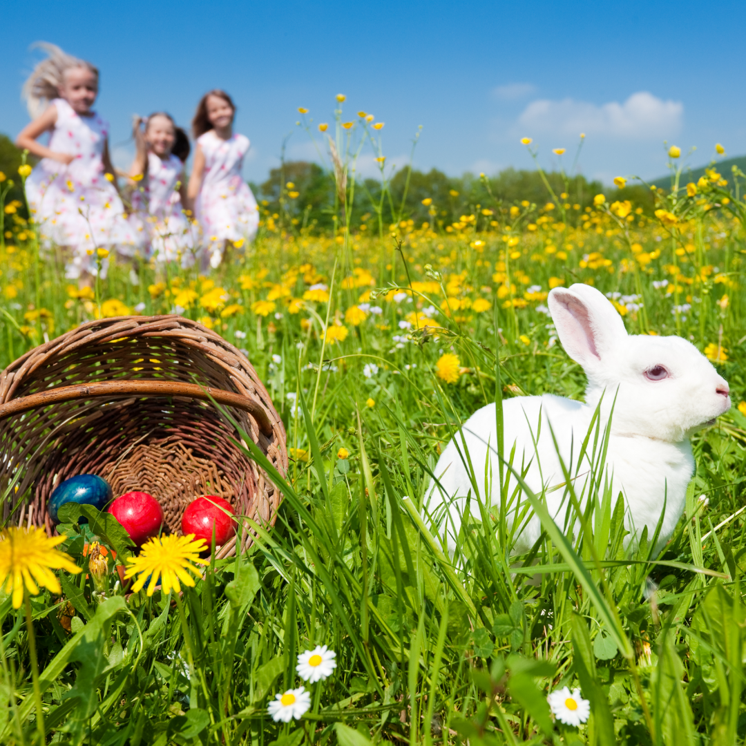Große Ostereiersuche am Ostermontag auf dem Abenteuerspielplatz in Delbrück